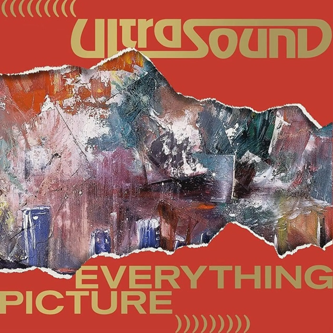 Ultrasound EVERYTHING PICTURE (DELUXE EDITION/7LP) Vinyl Record