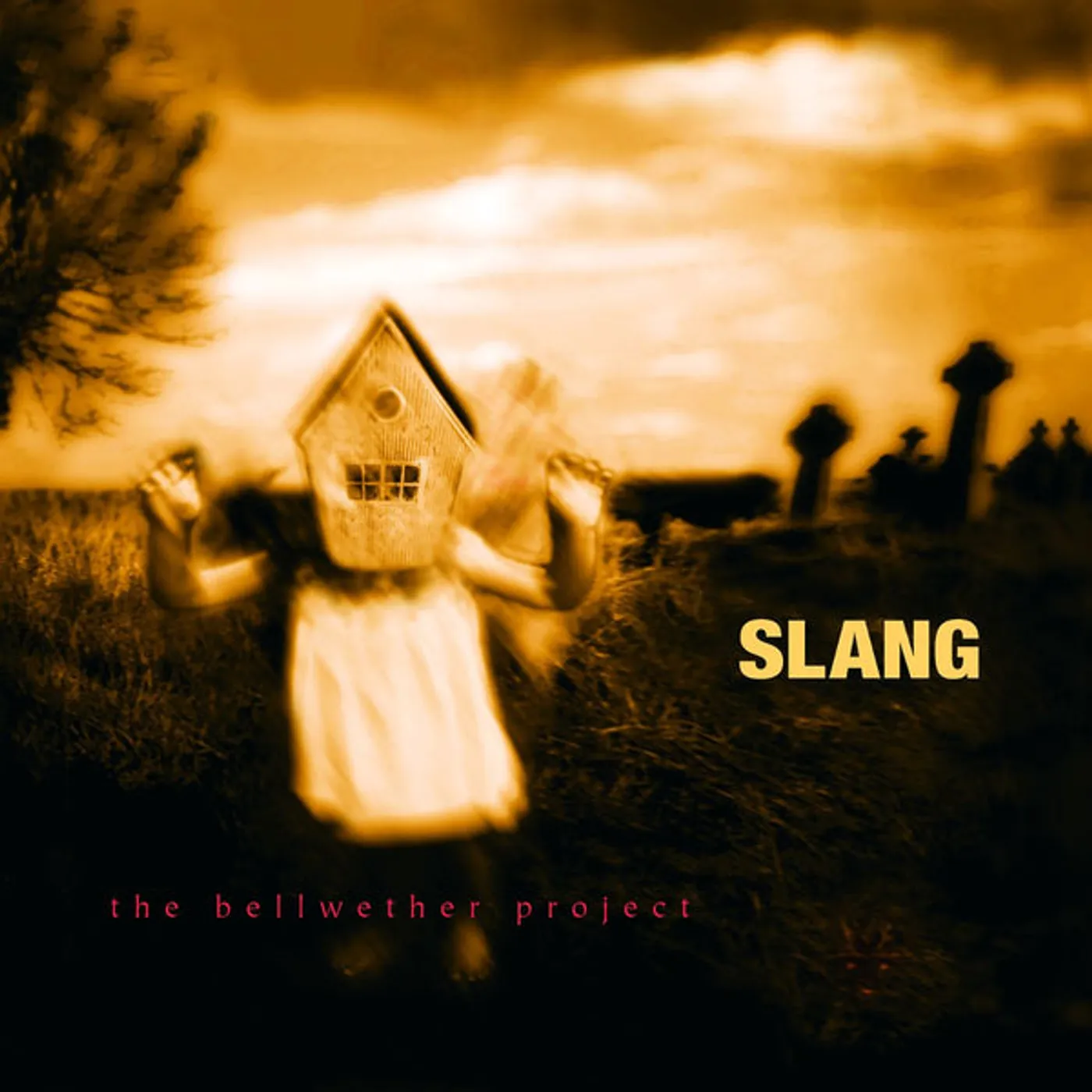 SLANG BELLWETHER PROJECT (2LP/180G/TRANSLUCENT RED VINYL) Vinyl Record