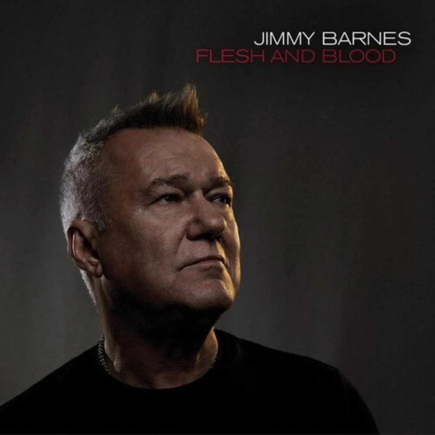 Jimmy Barnes Flesh And Blood Vinyl Record