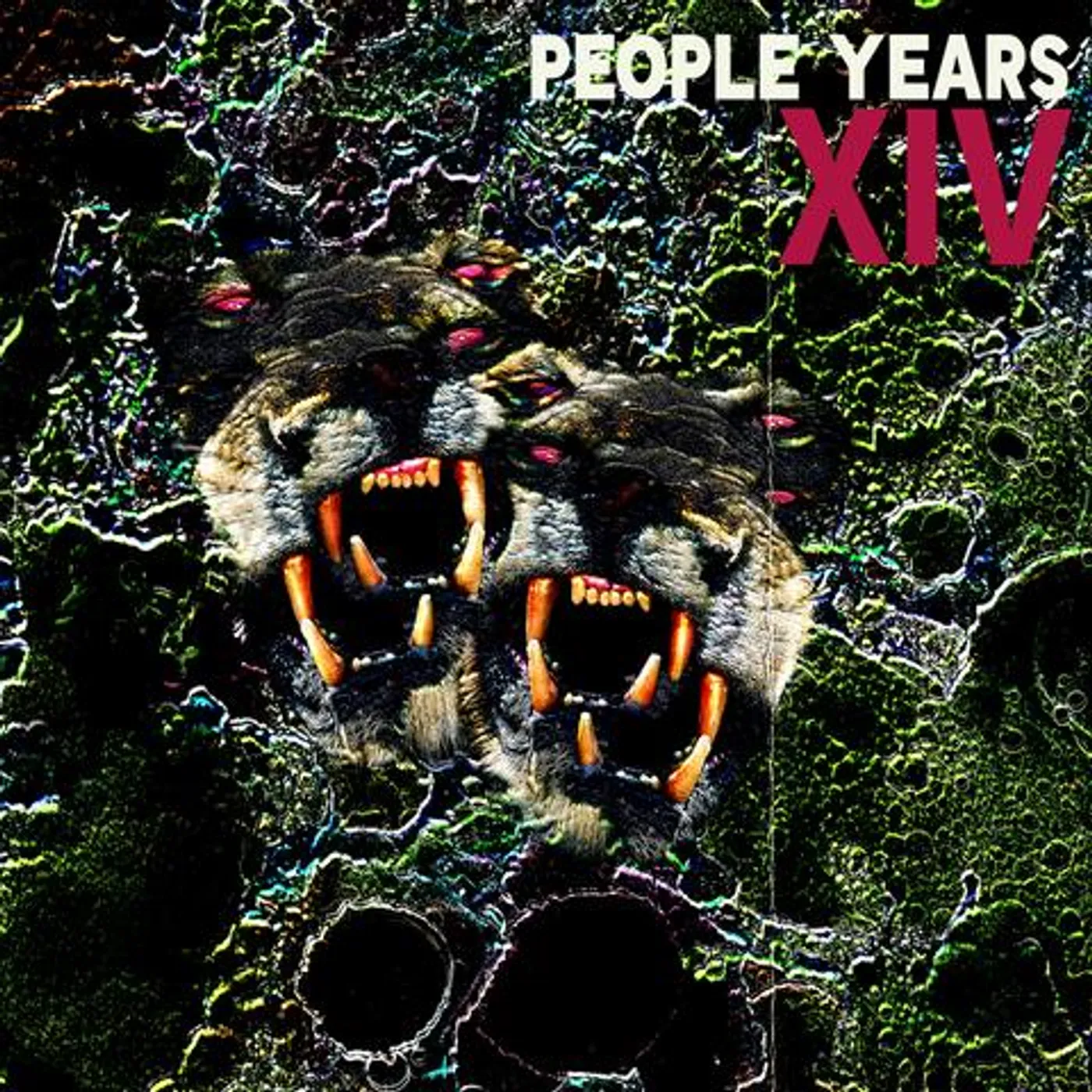 People Years XIV Vinyl Record