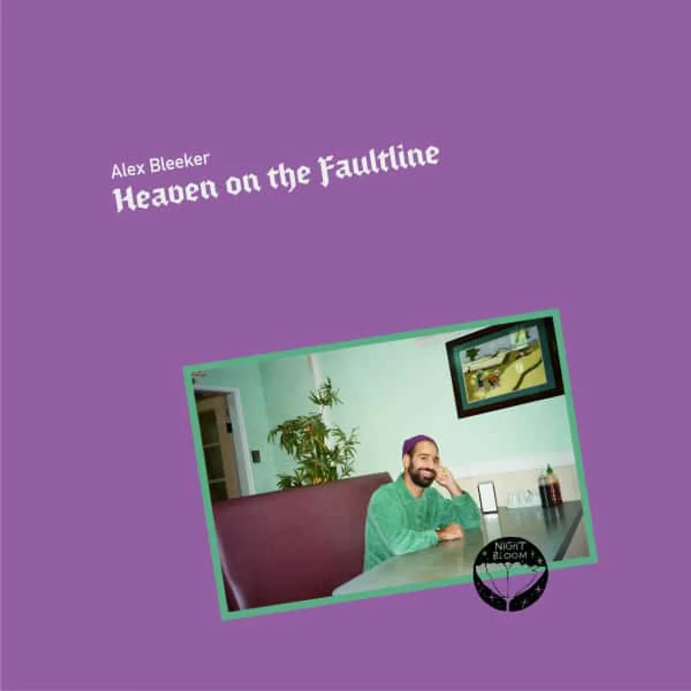 Alex Bleeker Heaven on the Faultline Vinyl Record