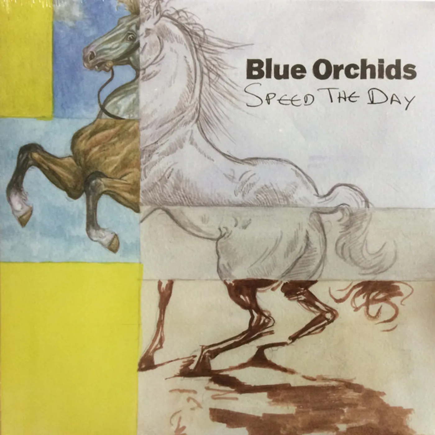 Blue Orchids Speed The Day Vinyl Record