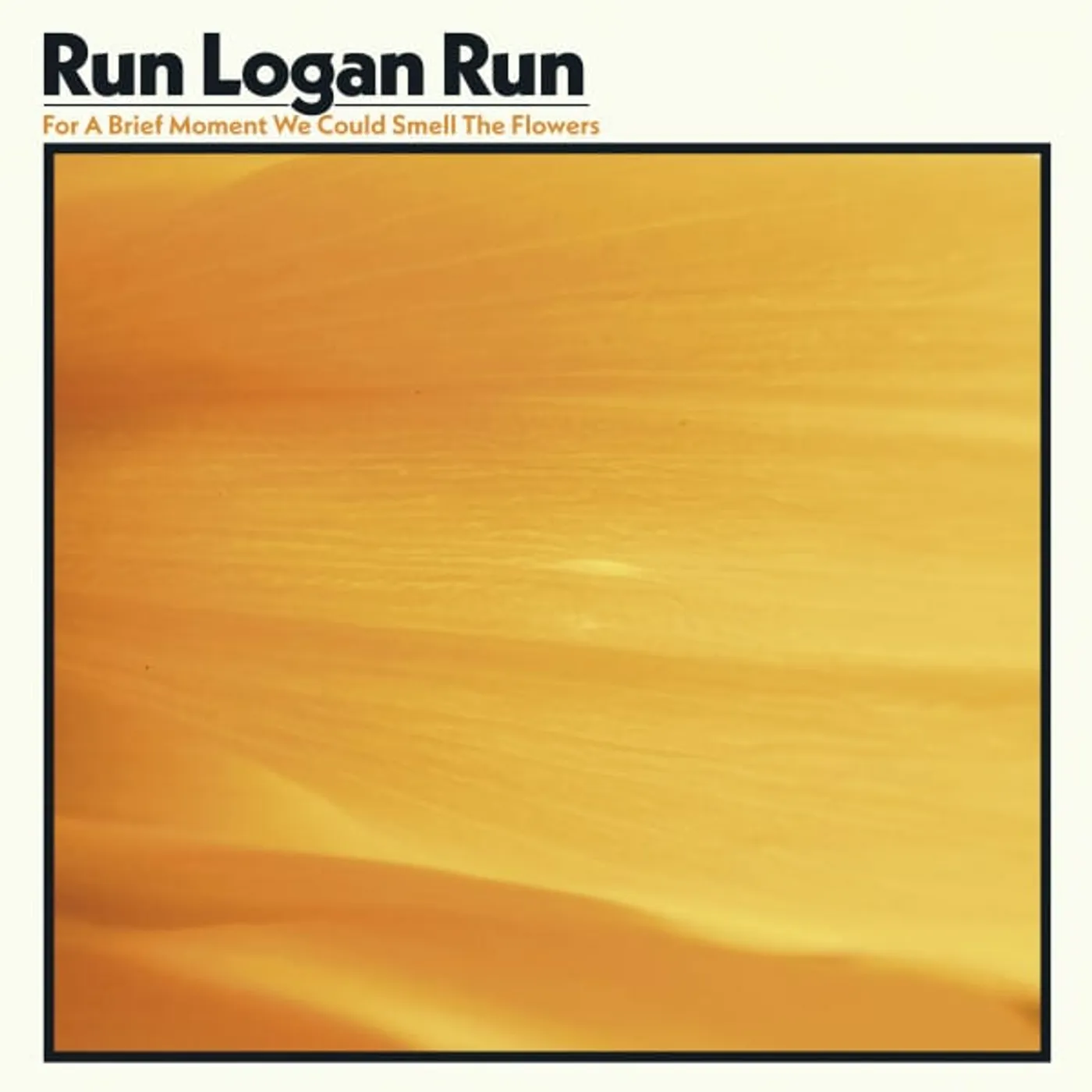 Run Logan Run For a Brief Moment We Could Smell the Flowers Vinyl Record