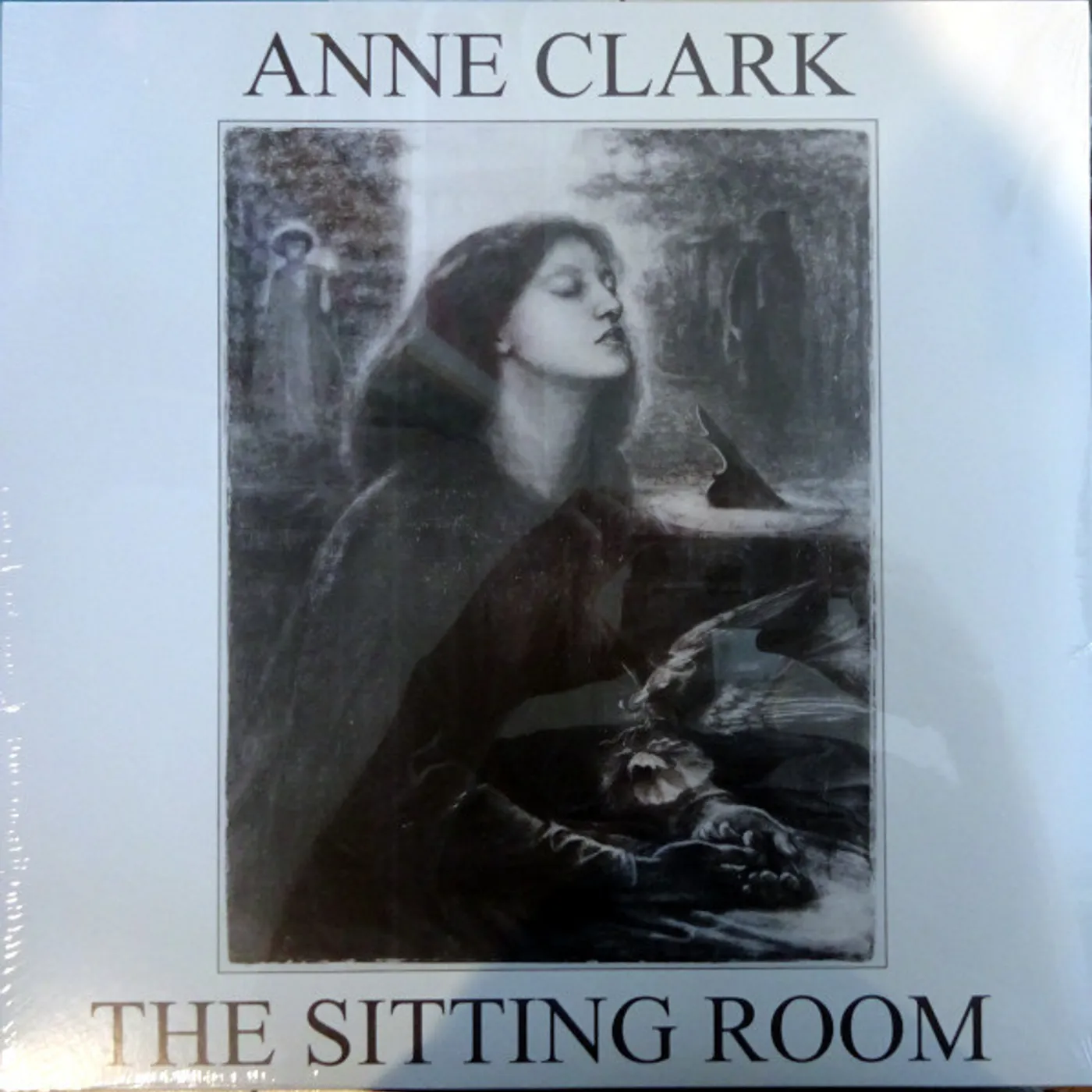 Anne Clark SITTING ROOM Vinyl Record