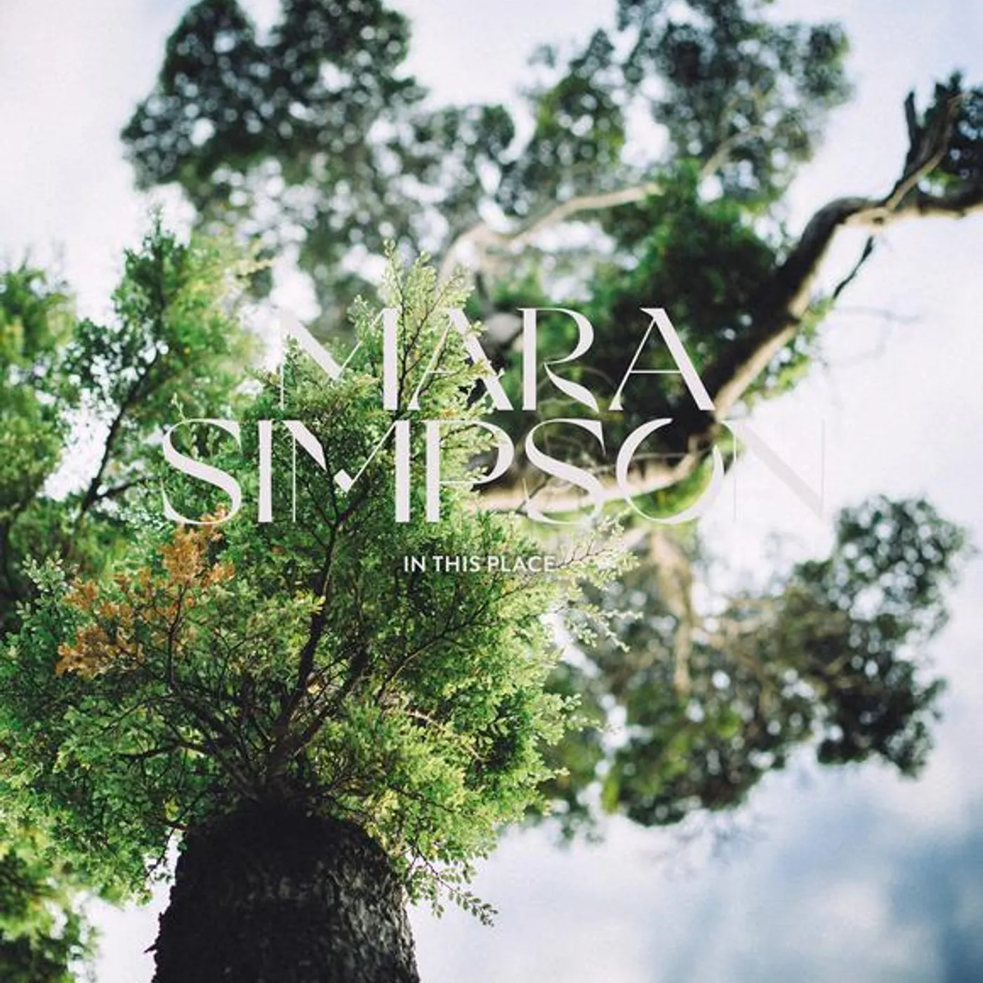 Mara Simpson In This Place Vinyl Record