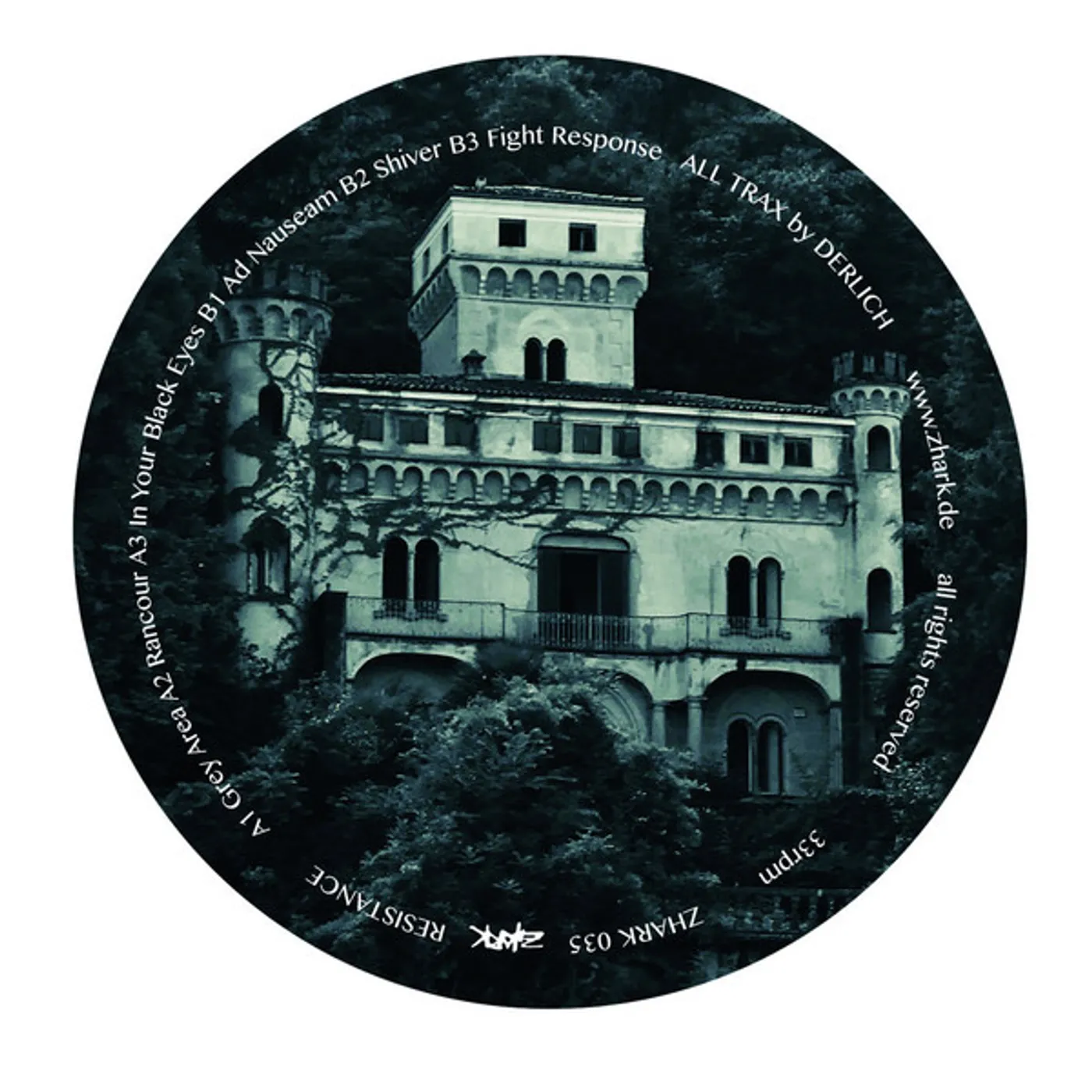 Derlich RESISTANCE Vinyl Record