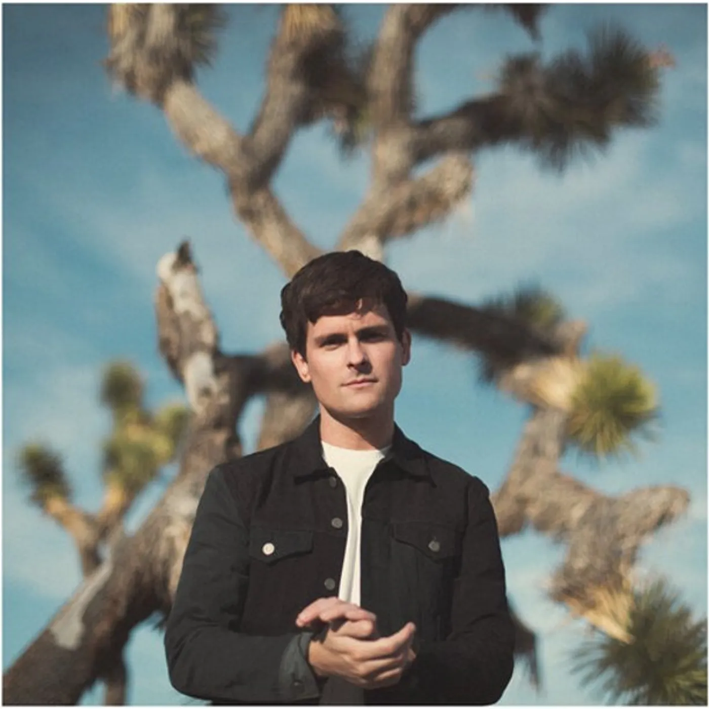 Tom Speight Everything's Waiting for You Vinyl Record