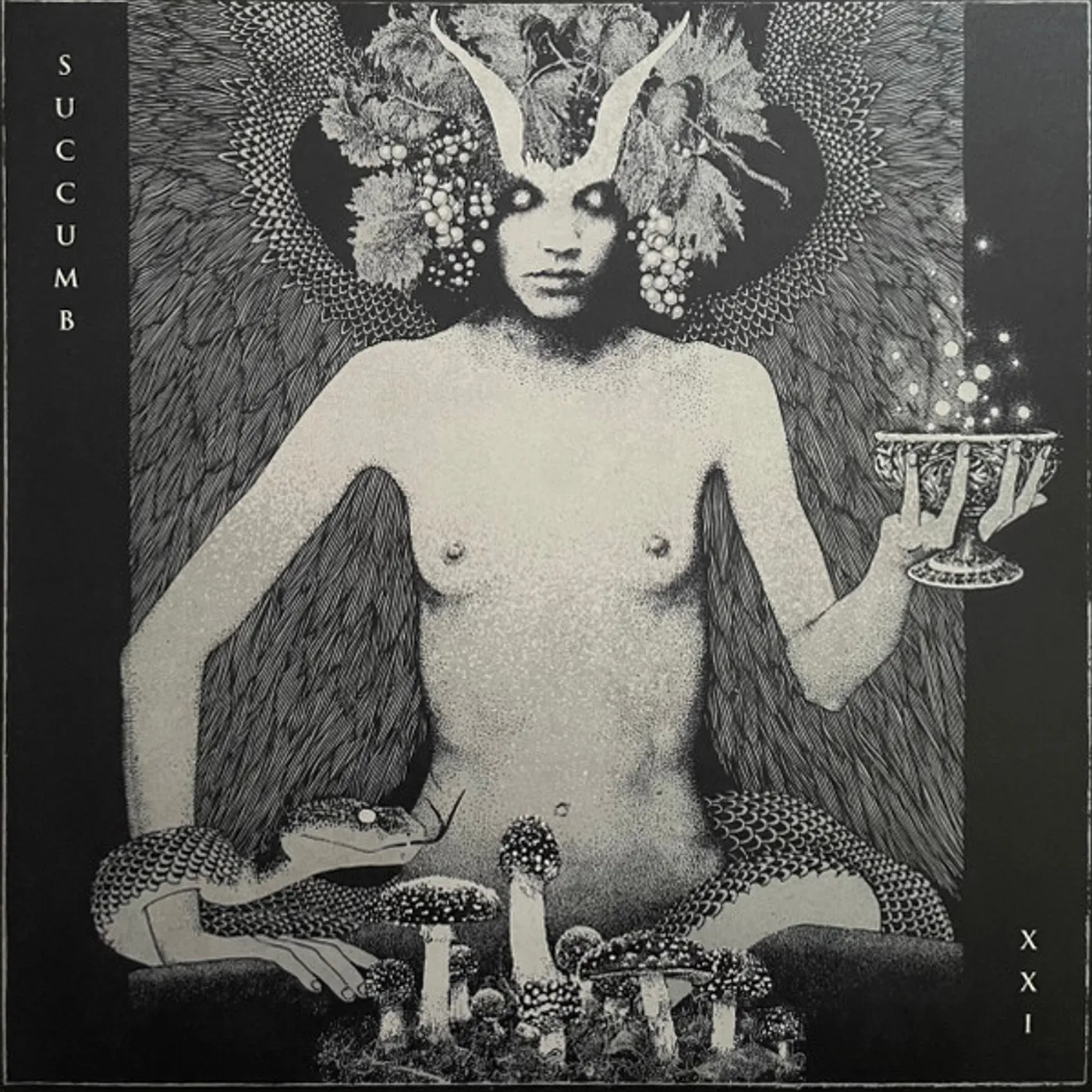 Succumb XXI Vinyl Record