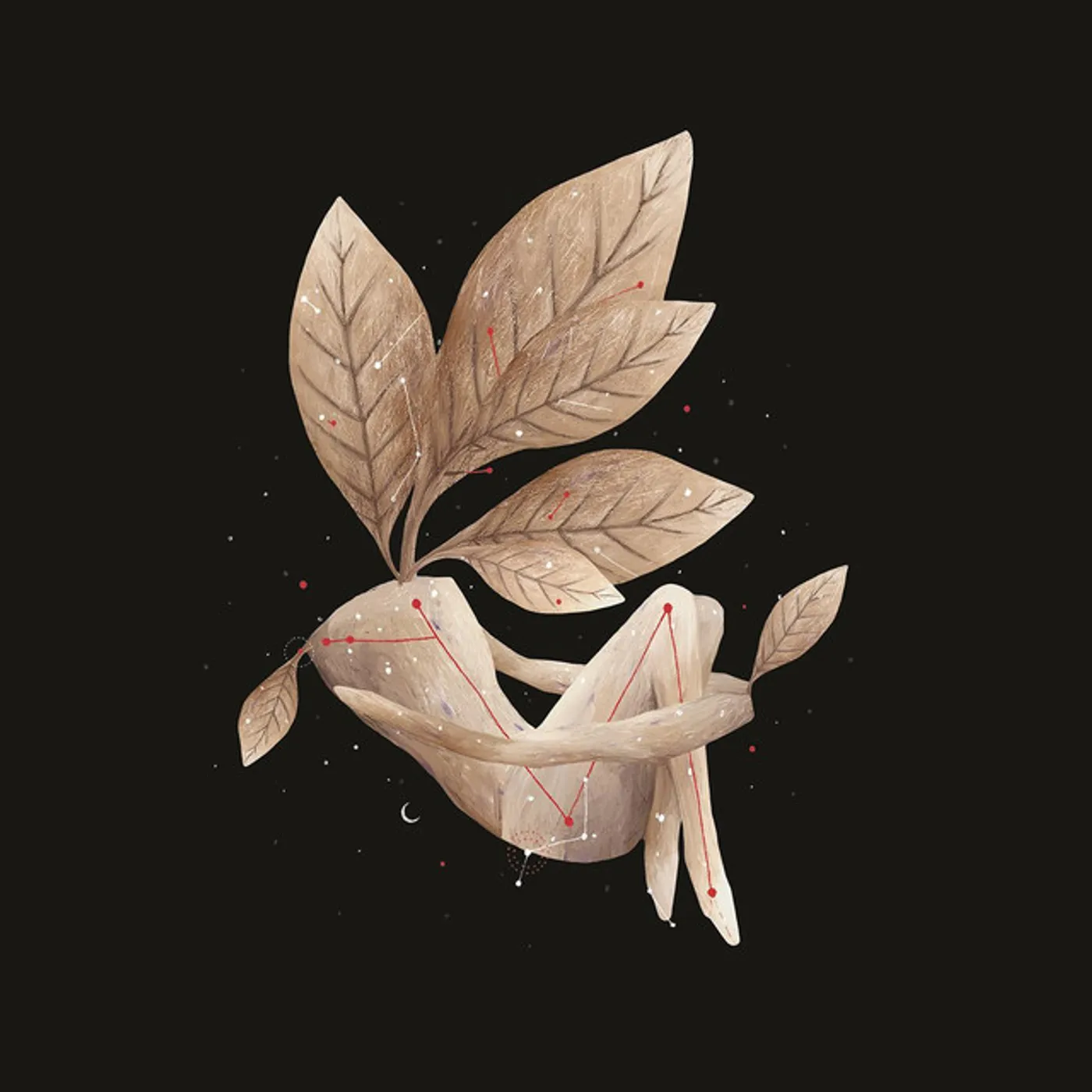 Lisandro Aristimuño CONSTELACIONES CD