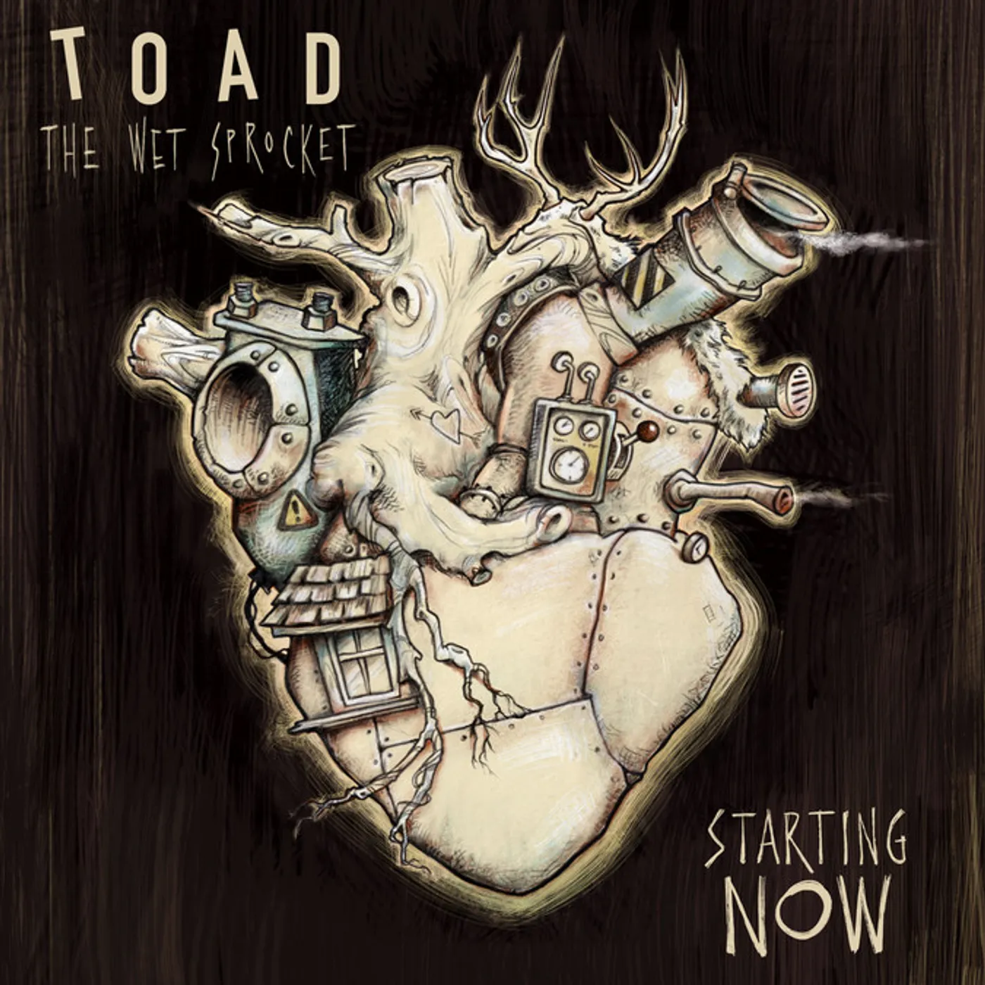 Toad The Wet Sprocket STARTING NOW CD