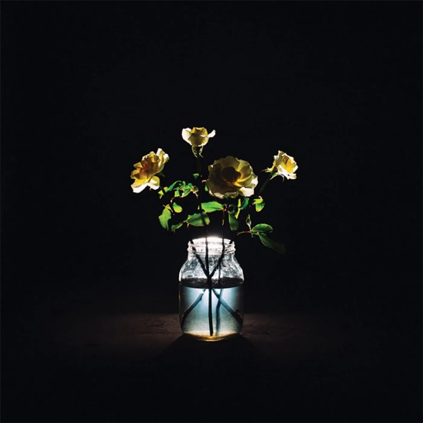 Billy Strings RENEWAL CD