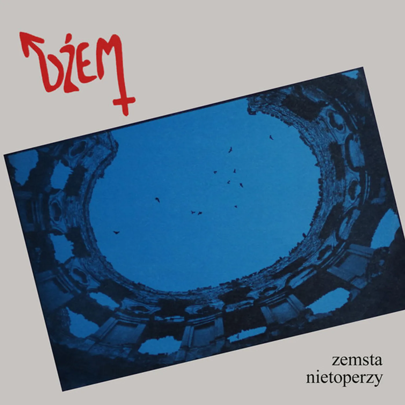 Dzem Zemsta Nietoperzy Vinyl Record