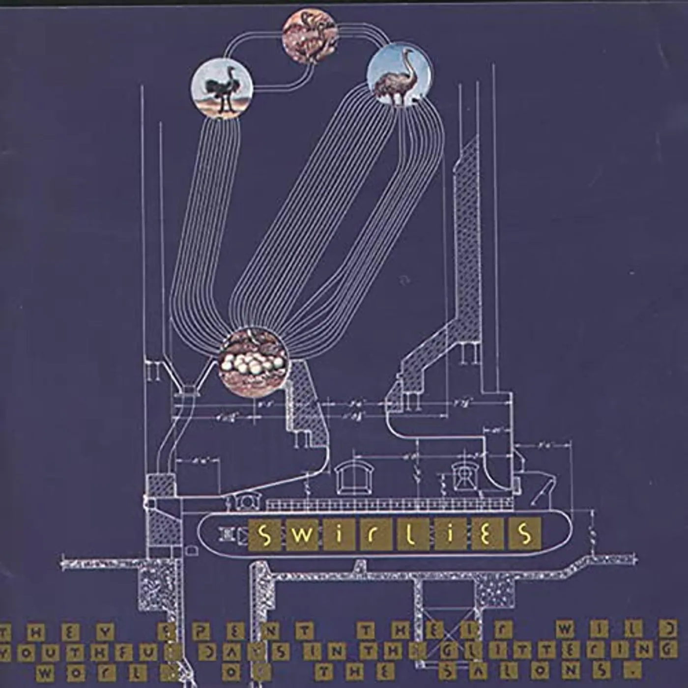 Swirlies THEY SPENT THEIR WILD YOUTHFUL DAYS IN THE Vinyl Record