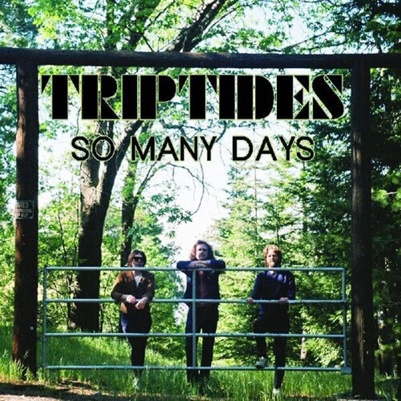 Triptides So Many Days Vinyl Record