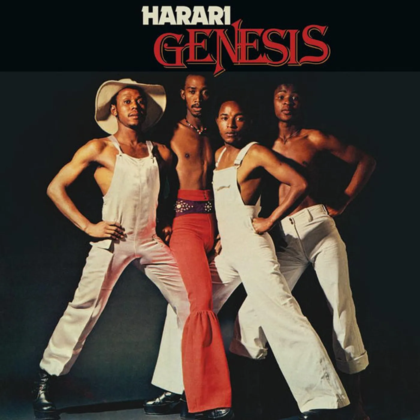 Harari Genesis Vinyl Record