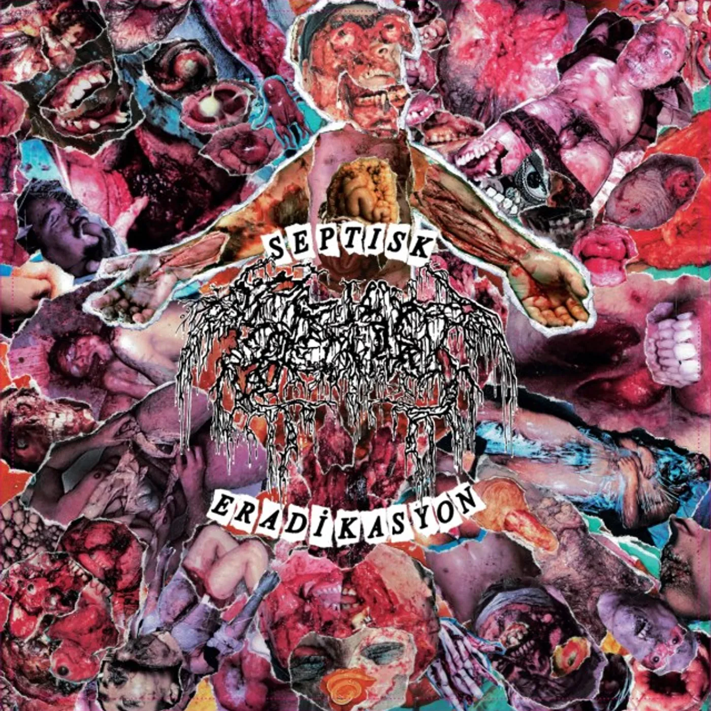 Septage Septisk eradikasyon Vinyl Record