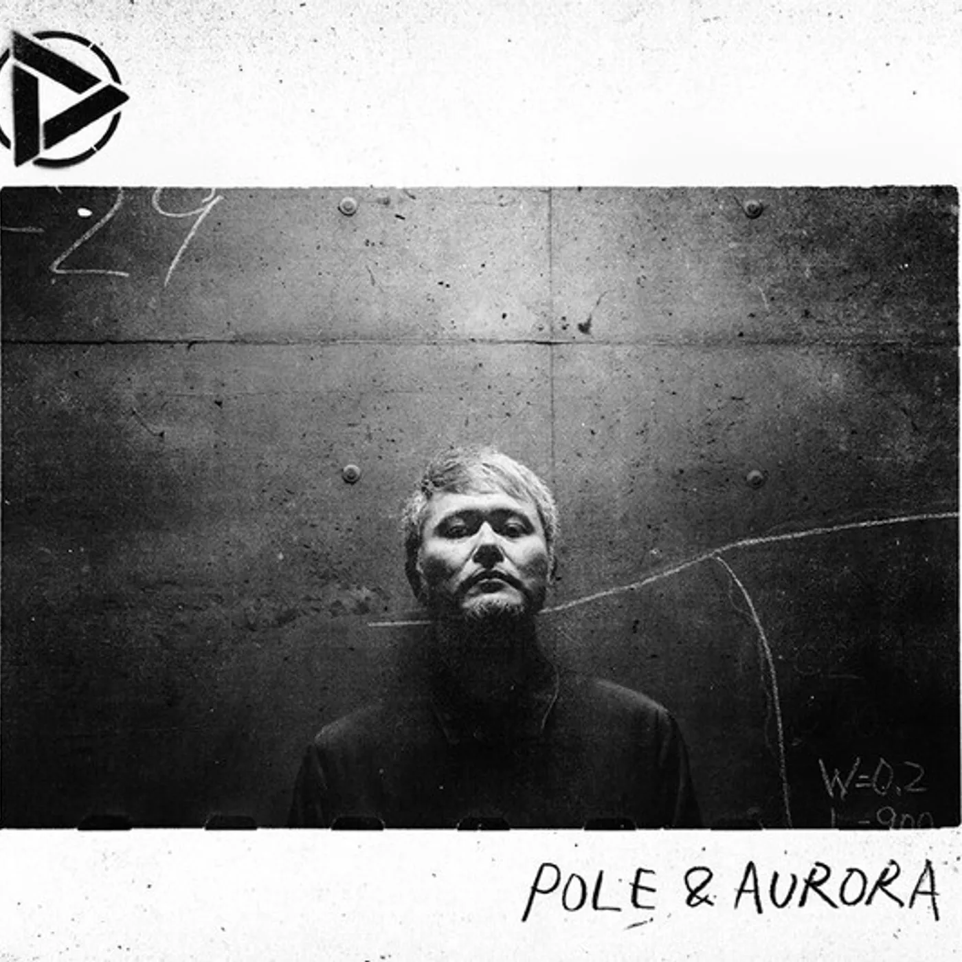 Discharming man POLE & AURORA Vinyl Record