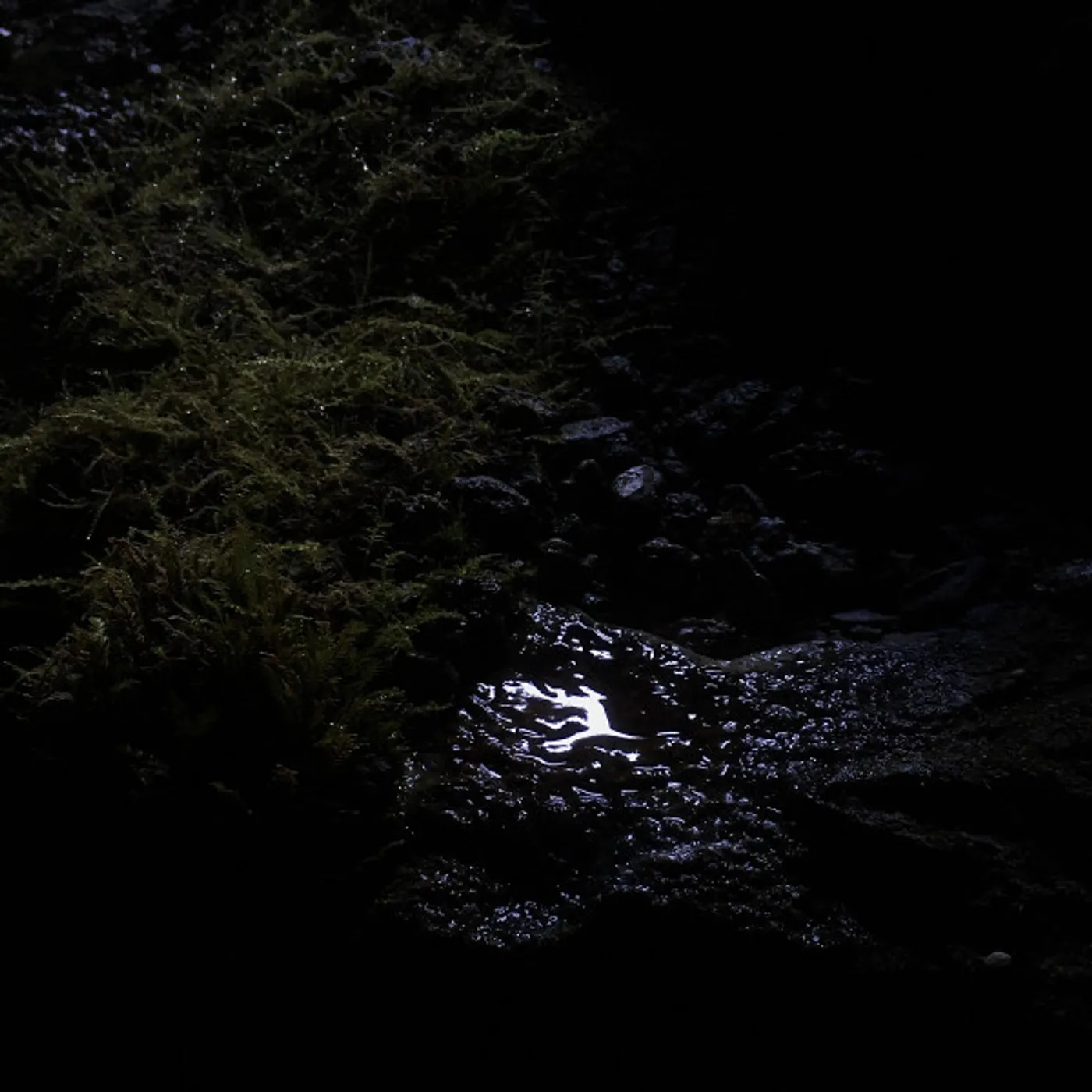 Perila 7.37 / 2.11 Vinyl Record