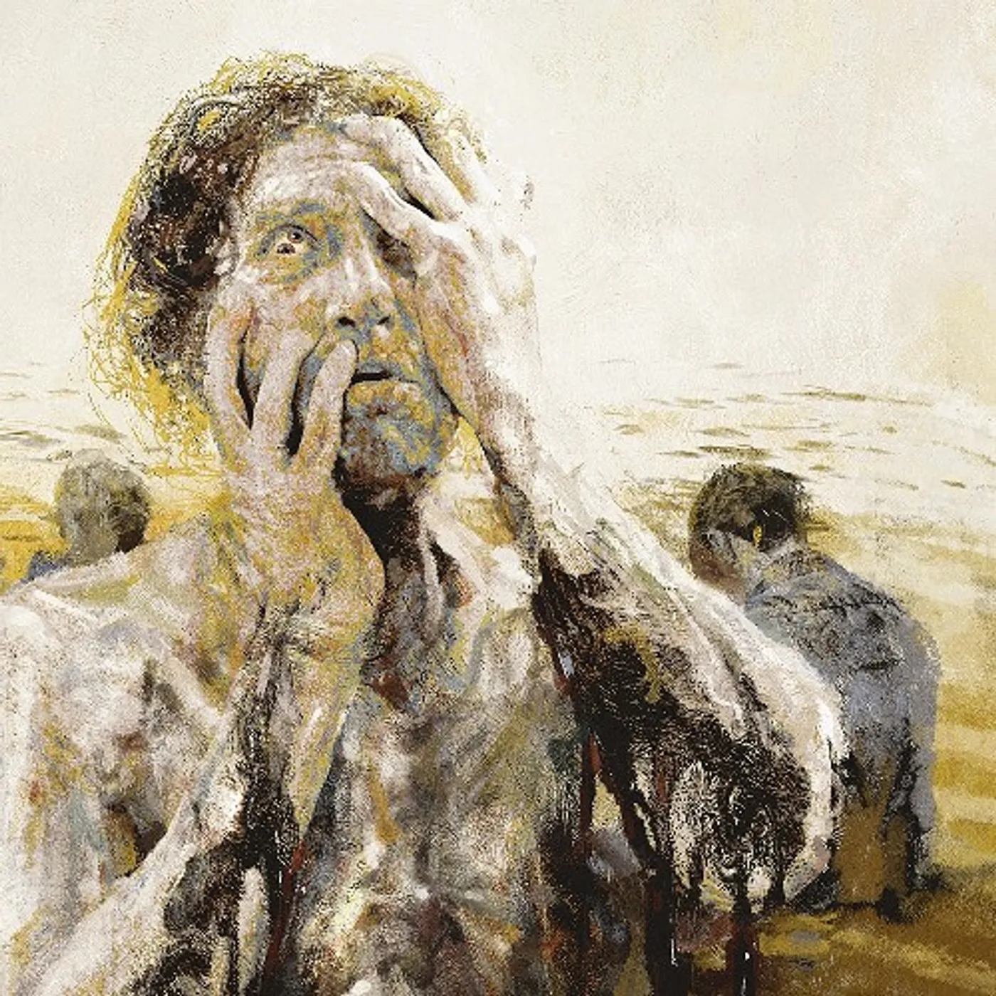 Gaerea Limbo Vinyl Record