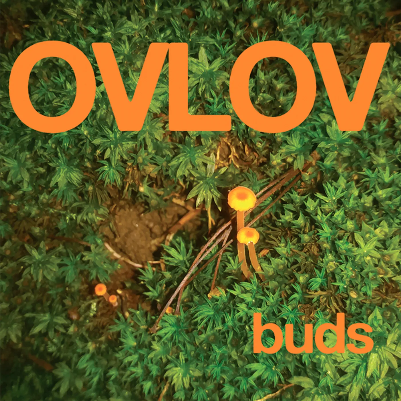 Ovlov Buds Vinyl Record