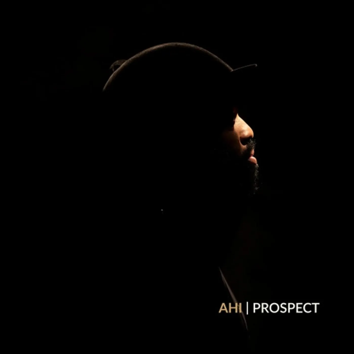 AHI Prospect Vinyl Record