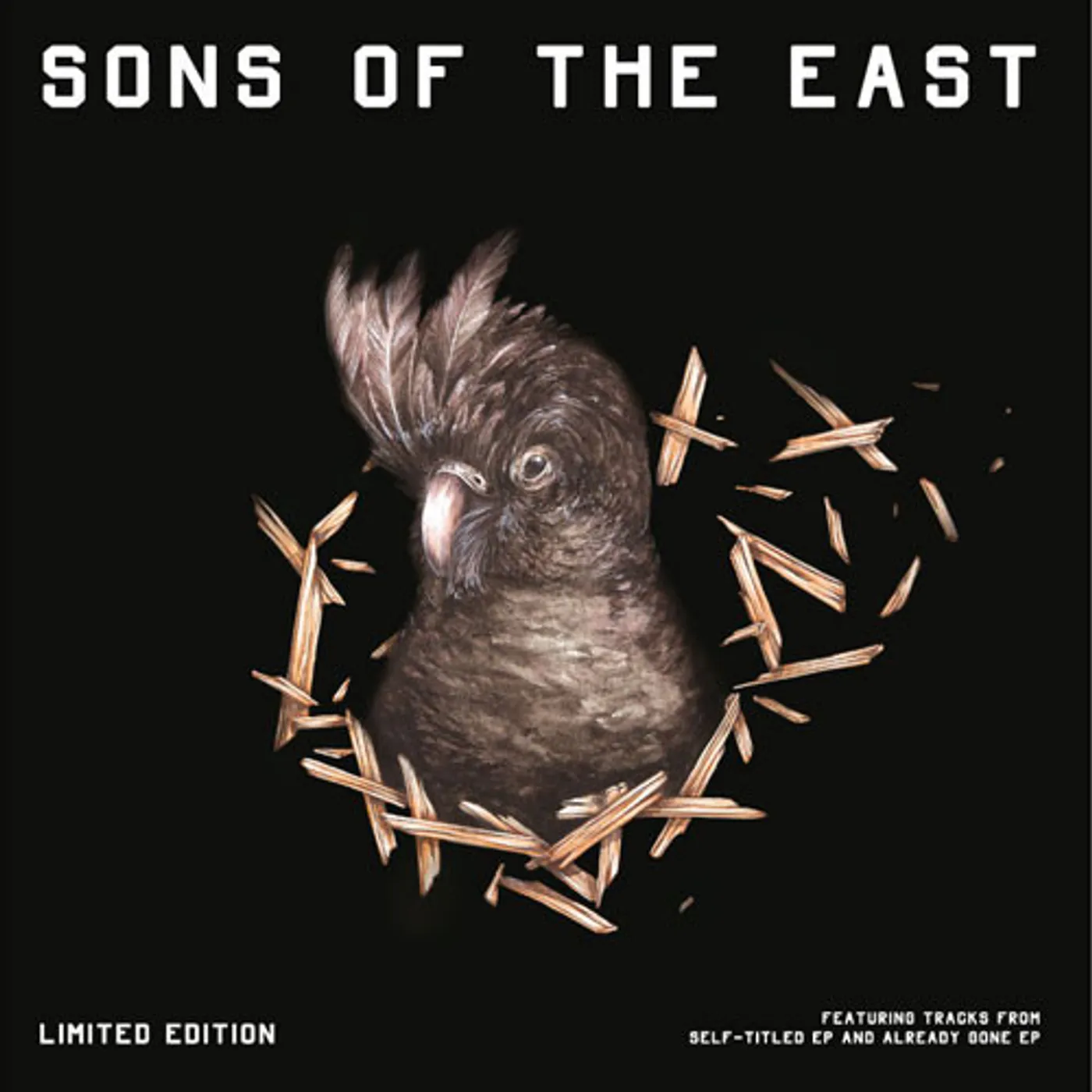 Sons Of The East Vinyl Record