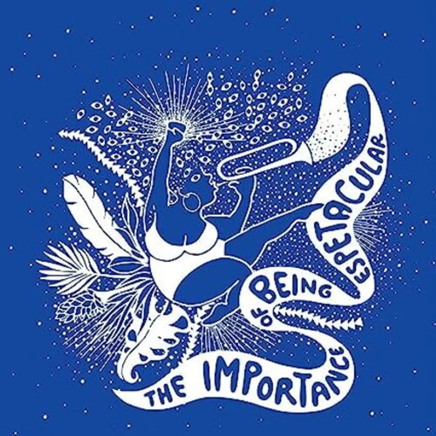 A Espetacular Charanga do França IMPORTANCE OF BEING ESPETACULAR CD