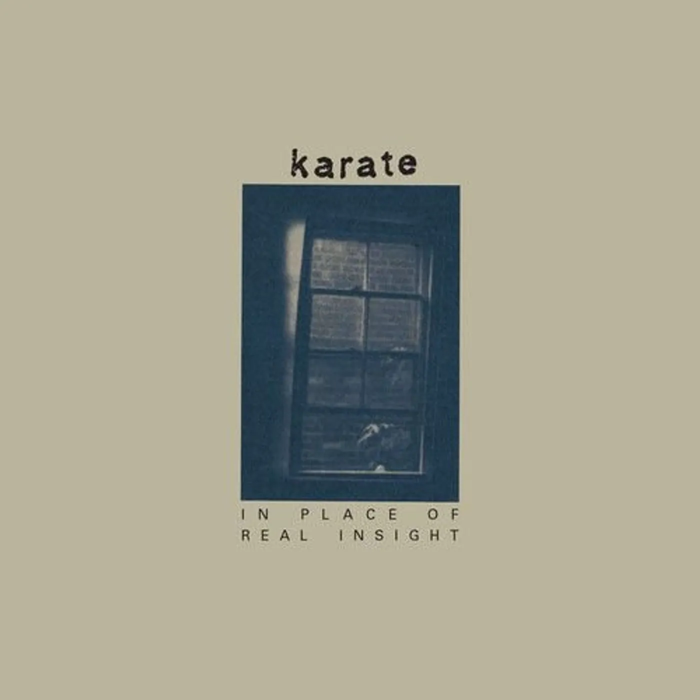 Karate In Place Of Real Insight Vinyl Record