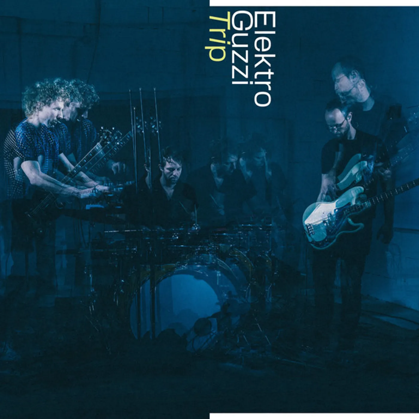 Elektro Guzzi Trip Vinyl Record