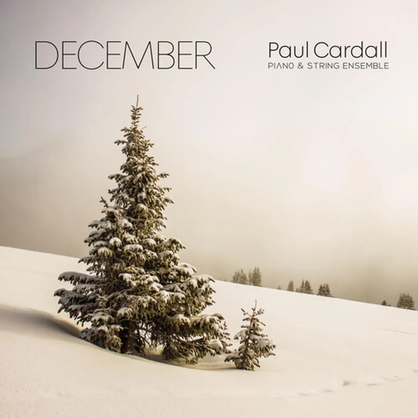 Paul Cardall DECEMBER CD