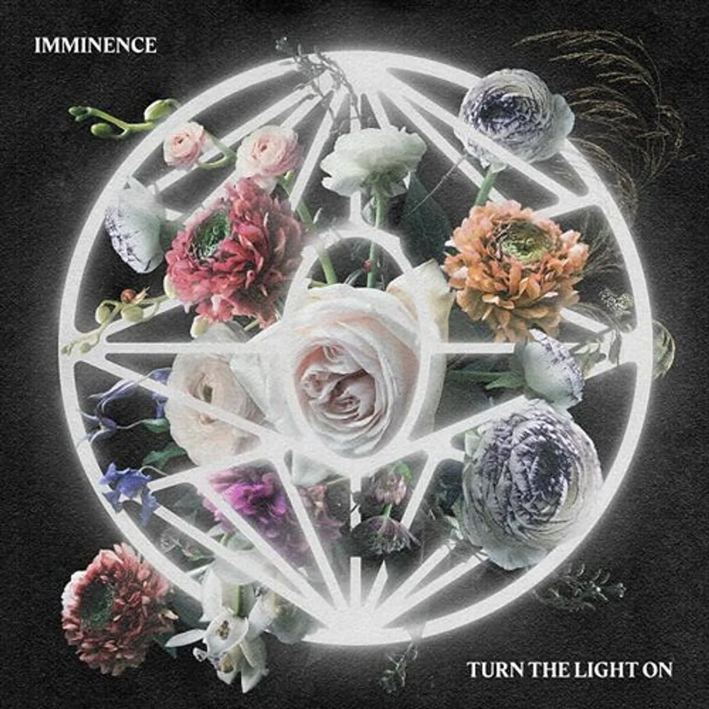 Imminence Turn the Light On Vinyl Record