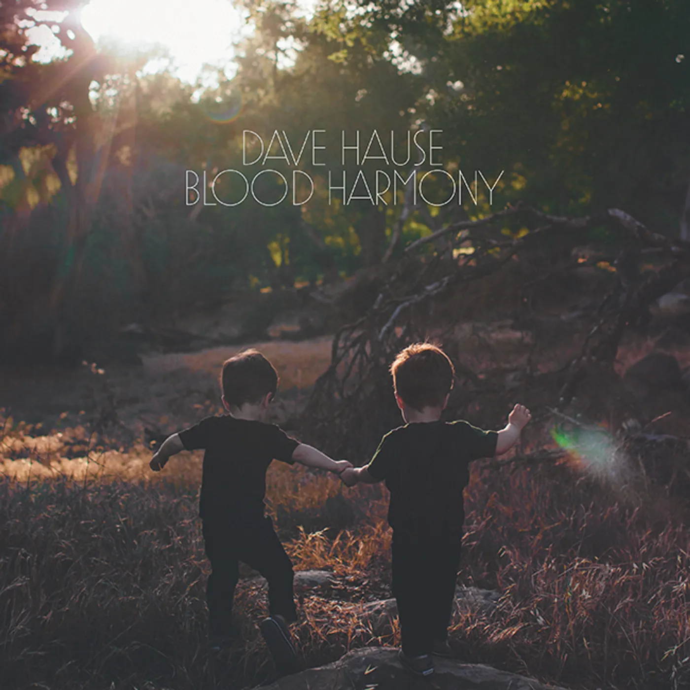Dave Hause Blood Harmony Vinyl Record
