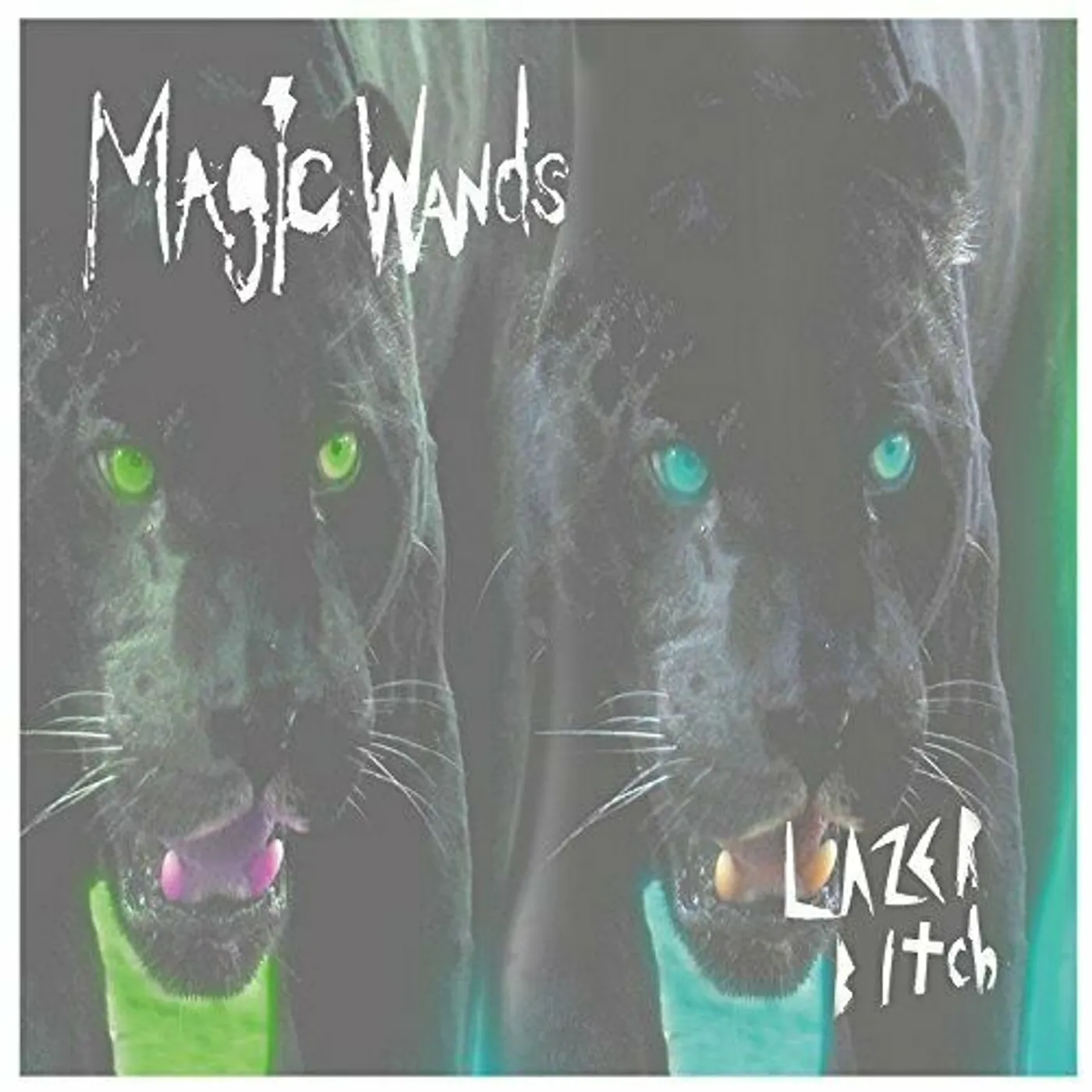 Magic Wands LAZER BITCH Vinyl Record
