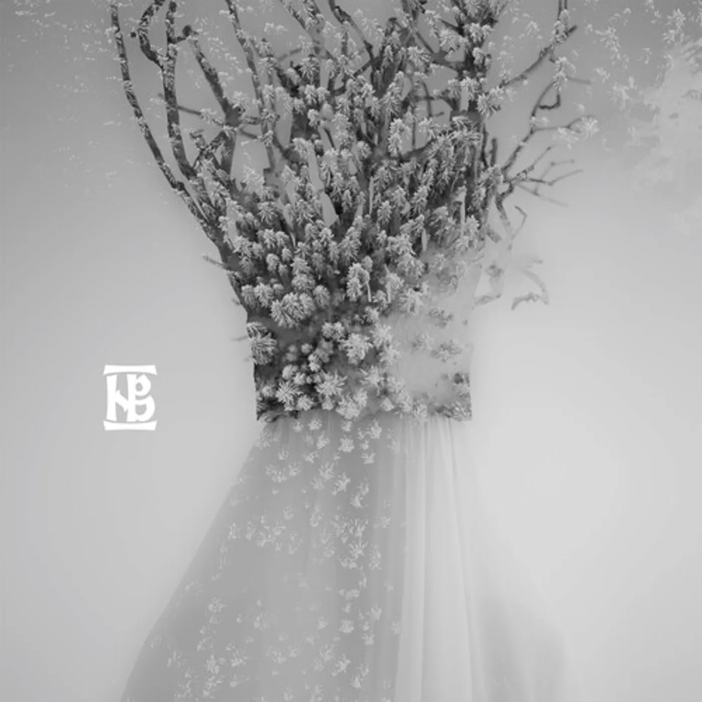 Negură Bunget ZAU CD