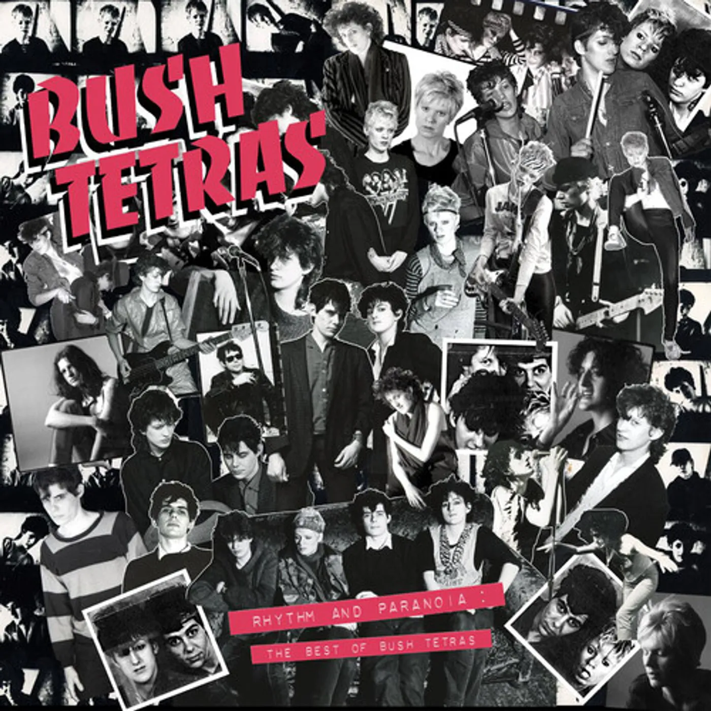 RHYTHM & PARANOIA: THE BEST OF BUSH TETRAS CD