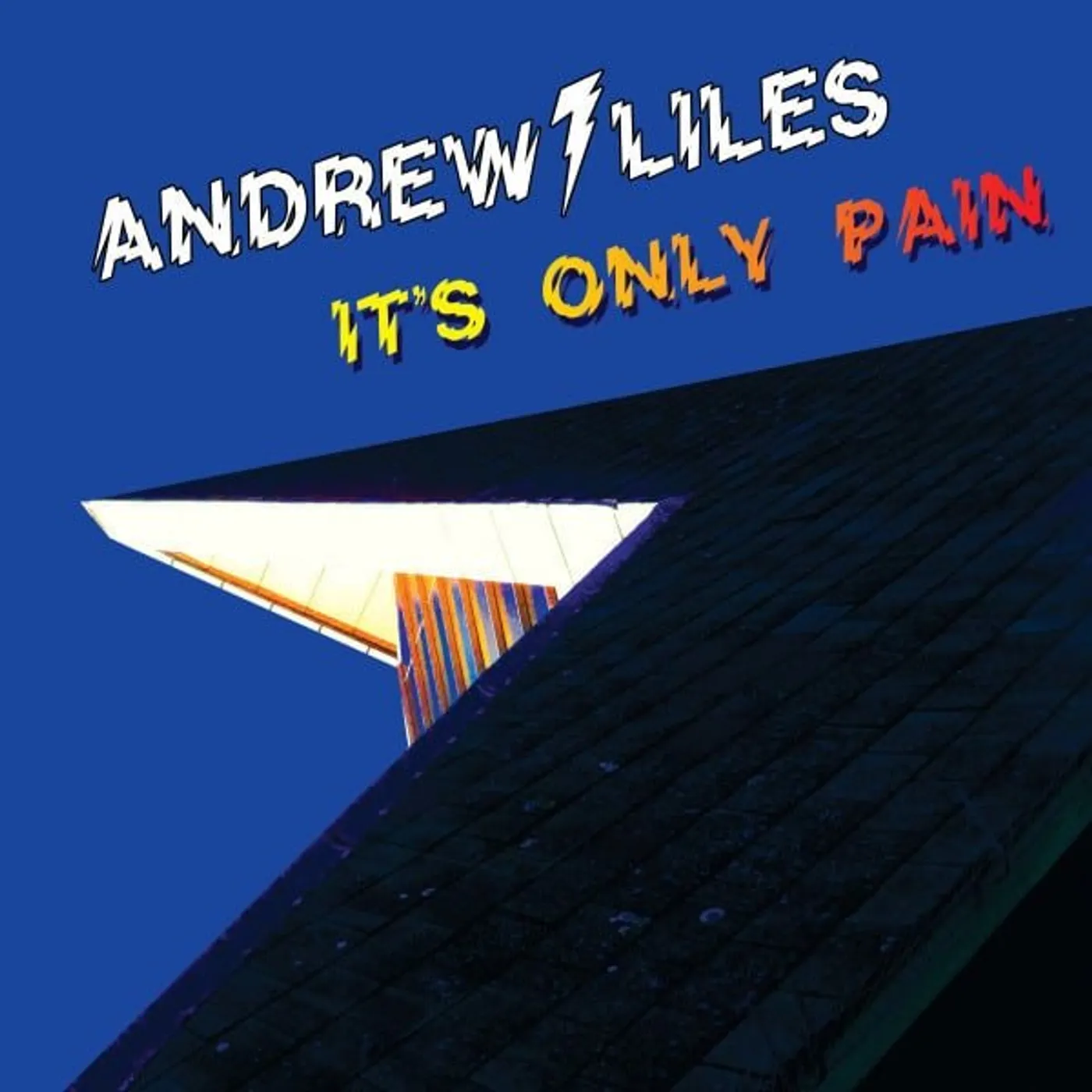 Andrew Liles ITS ONLY PAIN Vinyl Record