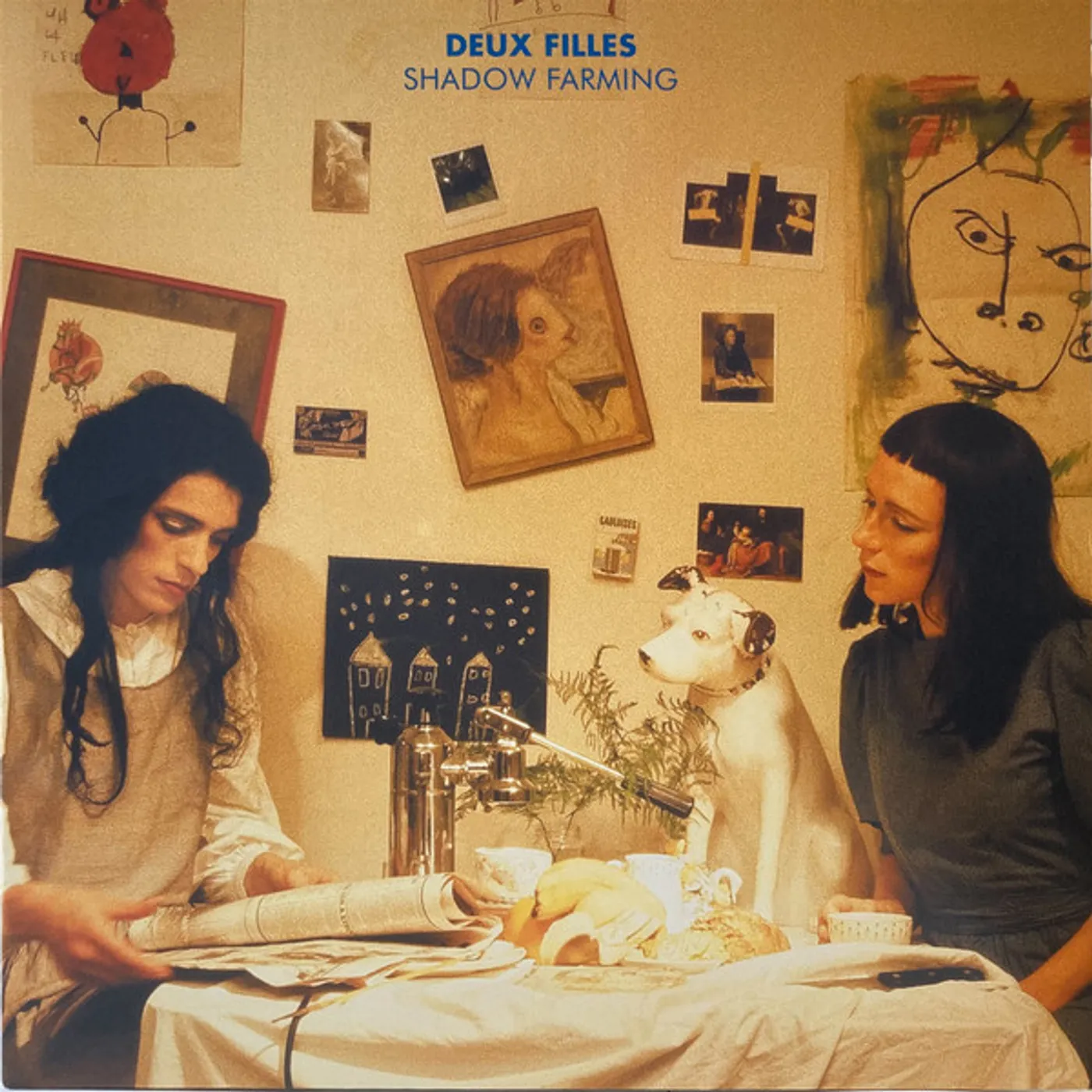 Deux Filles SHADOW FARMING (DEEP BLUE VINYL/IMPORT) Vinyl Record