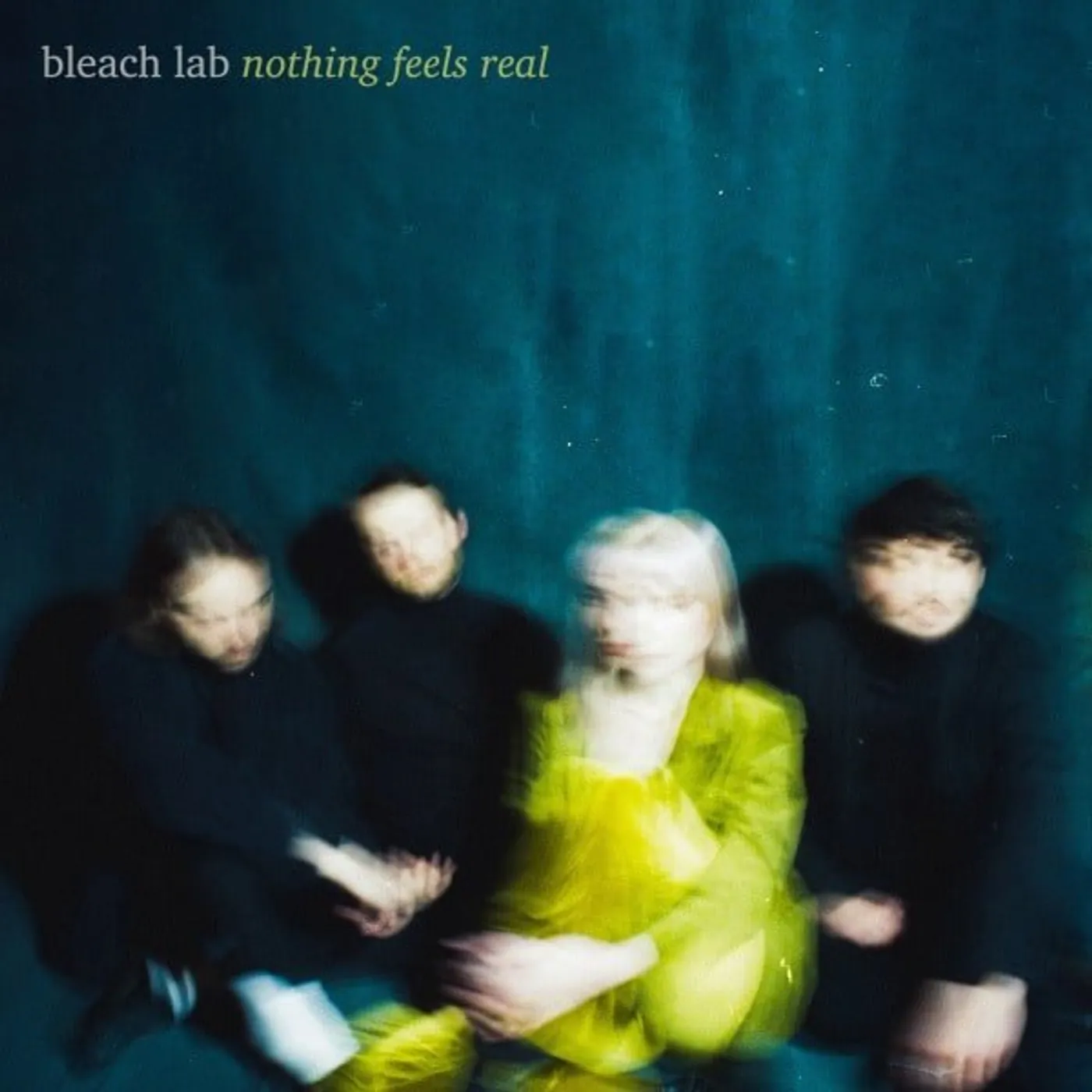 Bleach Lab Nothing Feels Real Vinyl Record