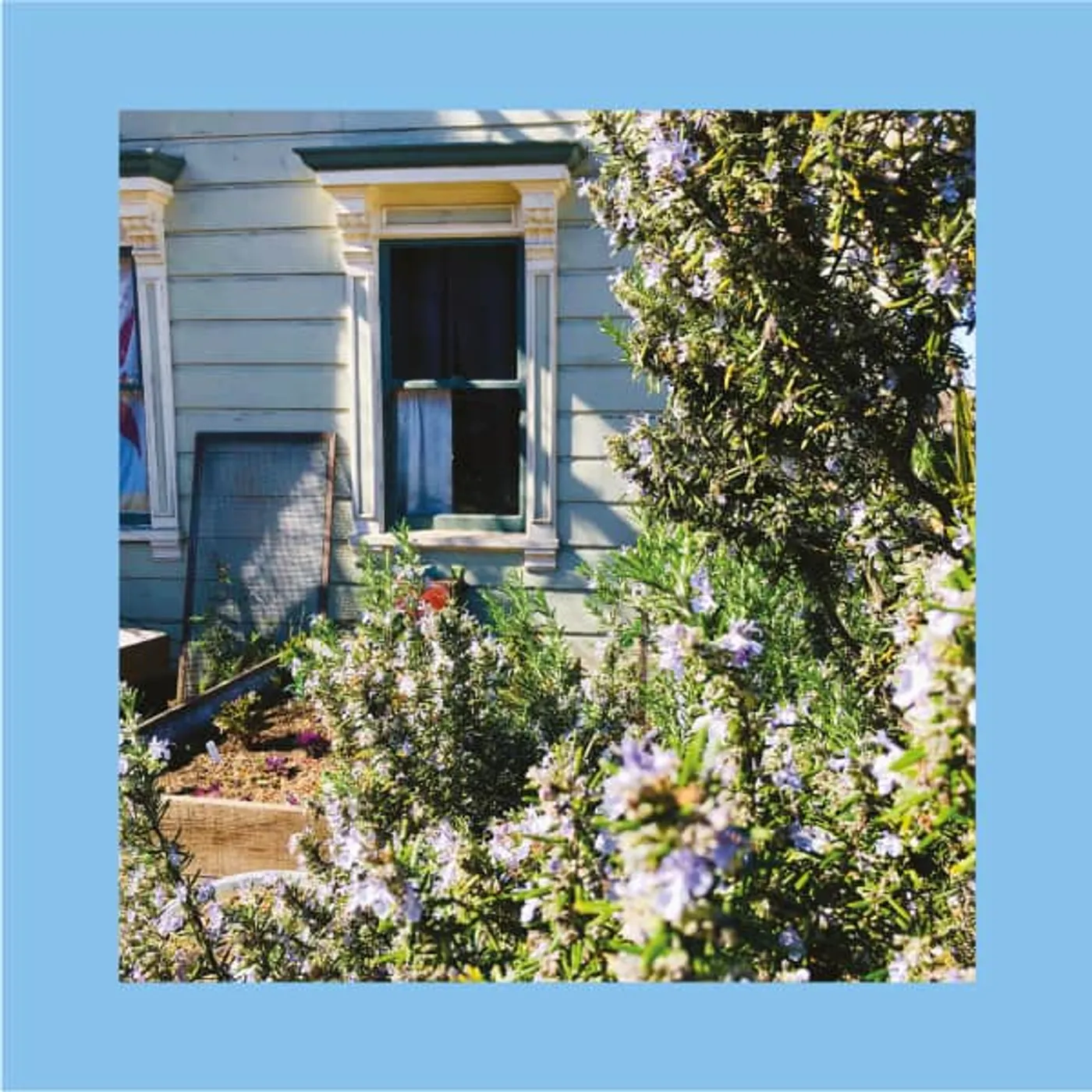 The Reds, Pinks and Purples ANXIETY ART Vinyl Record