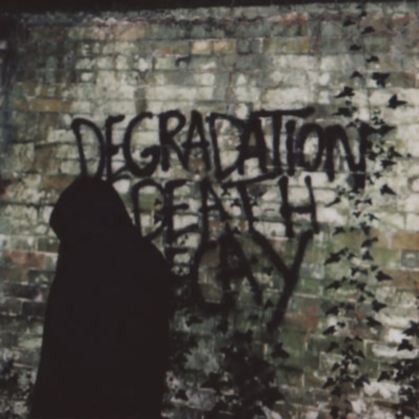Ian Miles Degradation Death Decay Vinyl Record