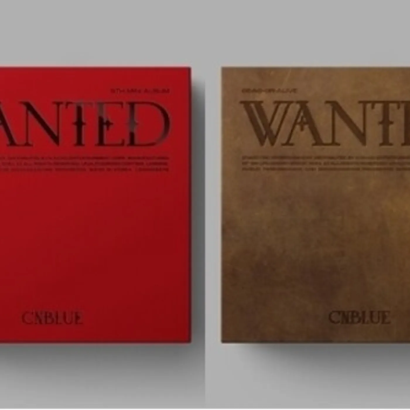 CNBLUE WANTED CD