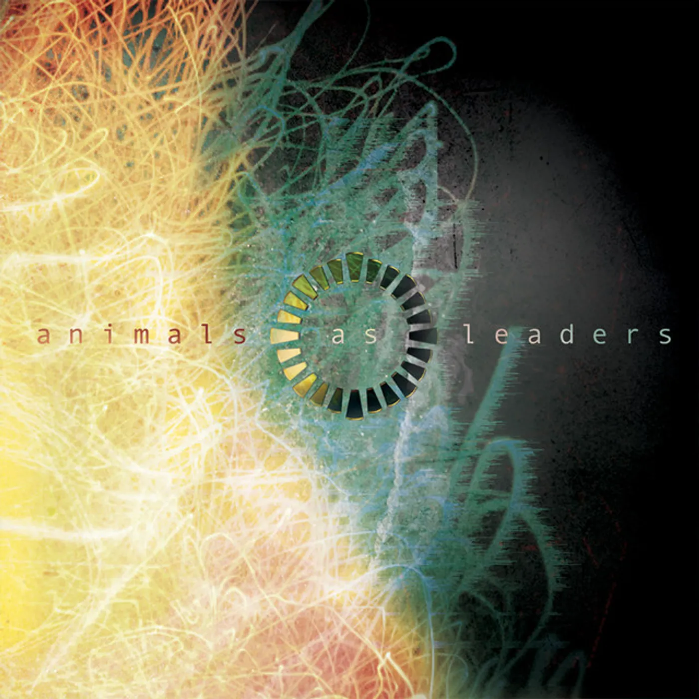 Animals as Leaders Vinyl Record