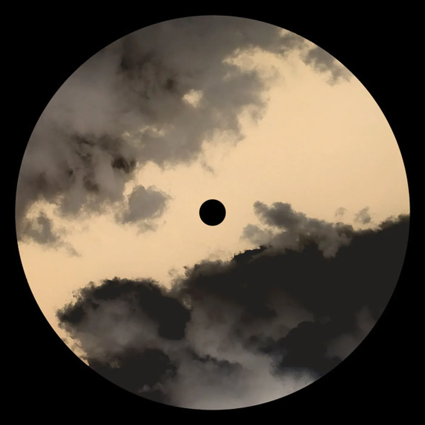 D.Dan Vaults Vinyl Record