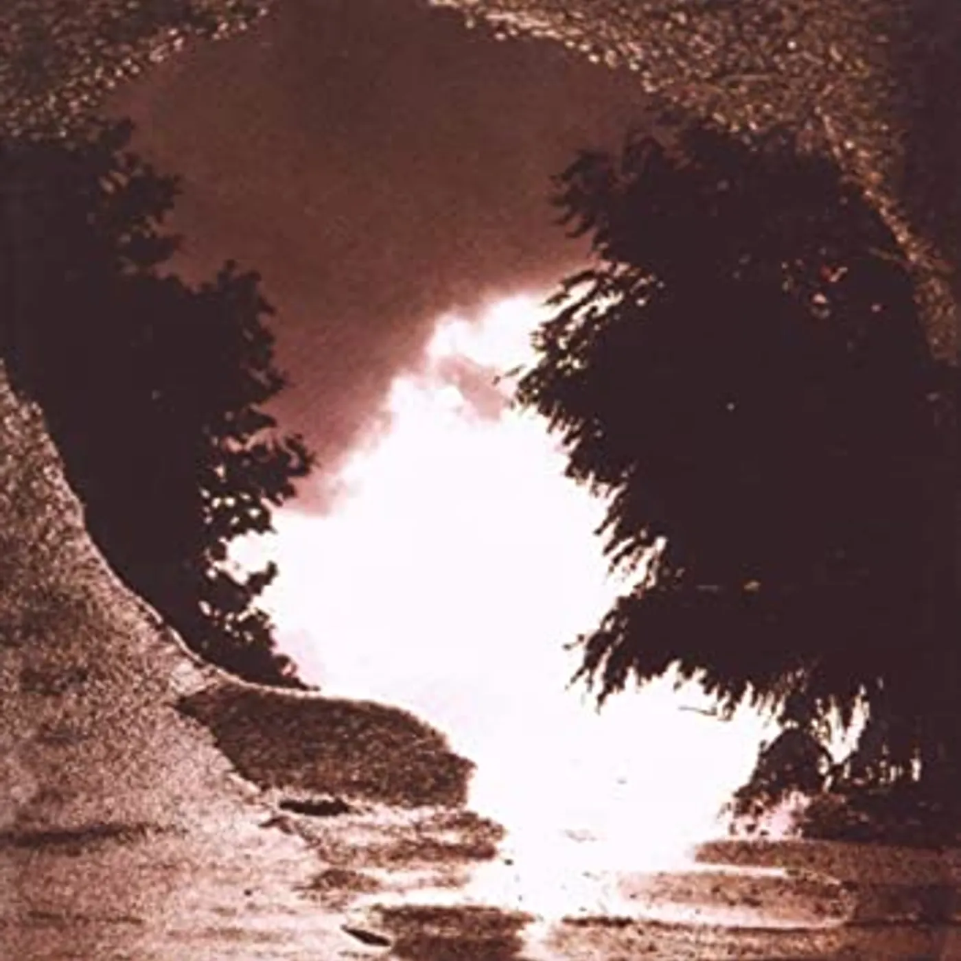 Sad Lovers & Giants Feeding the Flame Vinyl Record