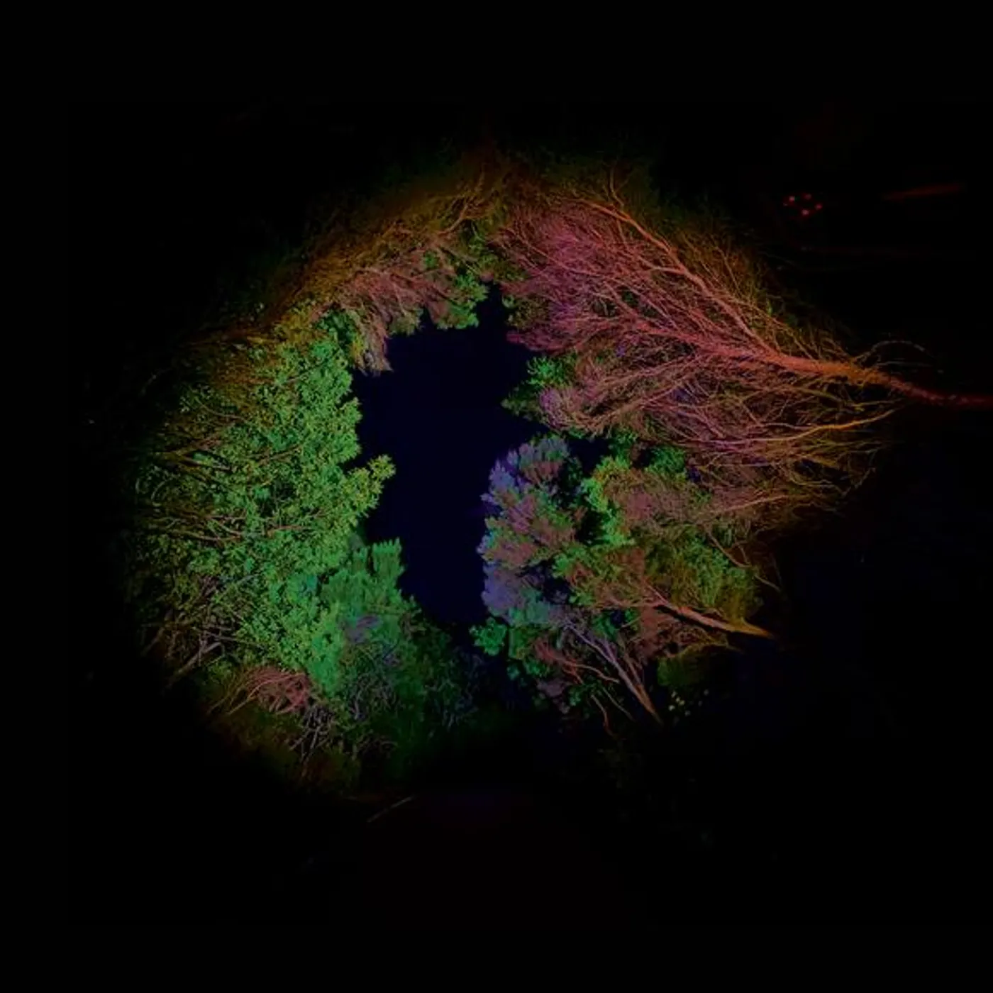 Francisco López Hidden Island Music (Untitled #398) Vinyl Record