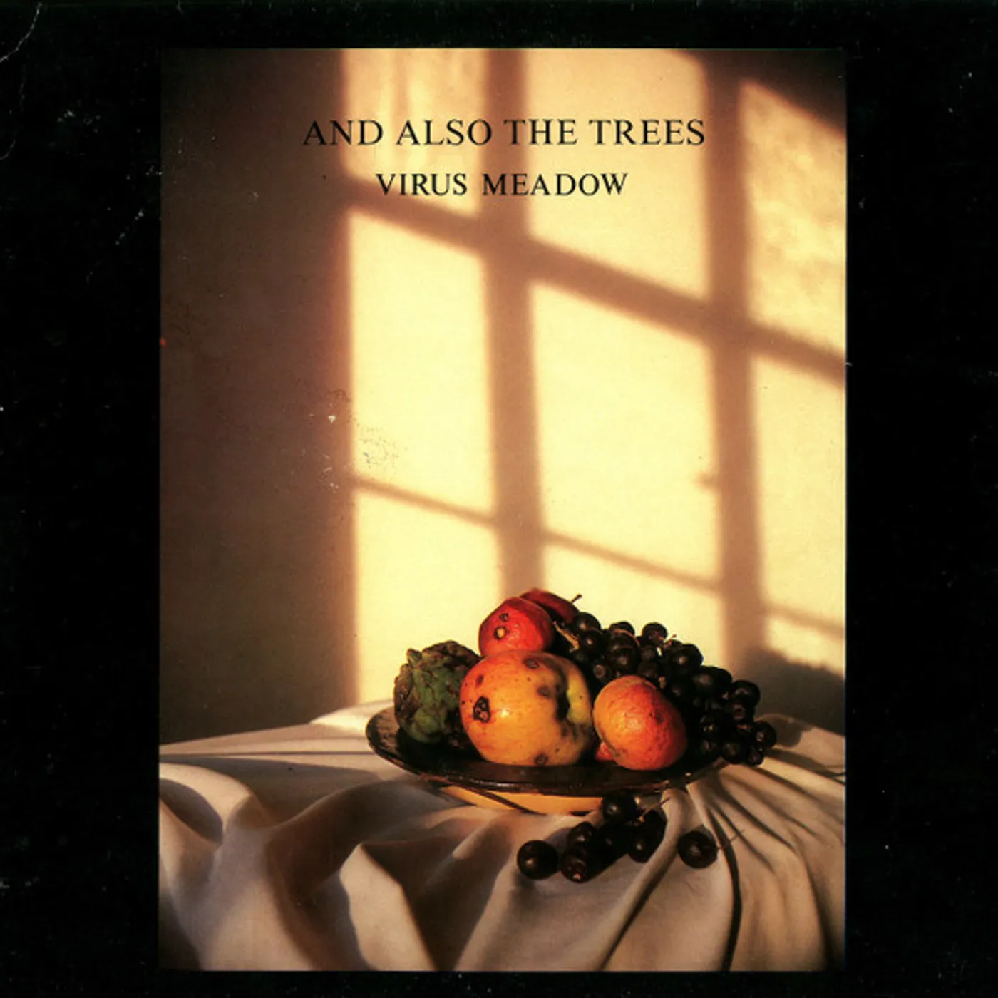 And Also The Trees Virus Meadow Vinyl Record
