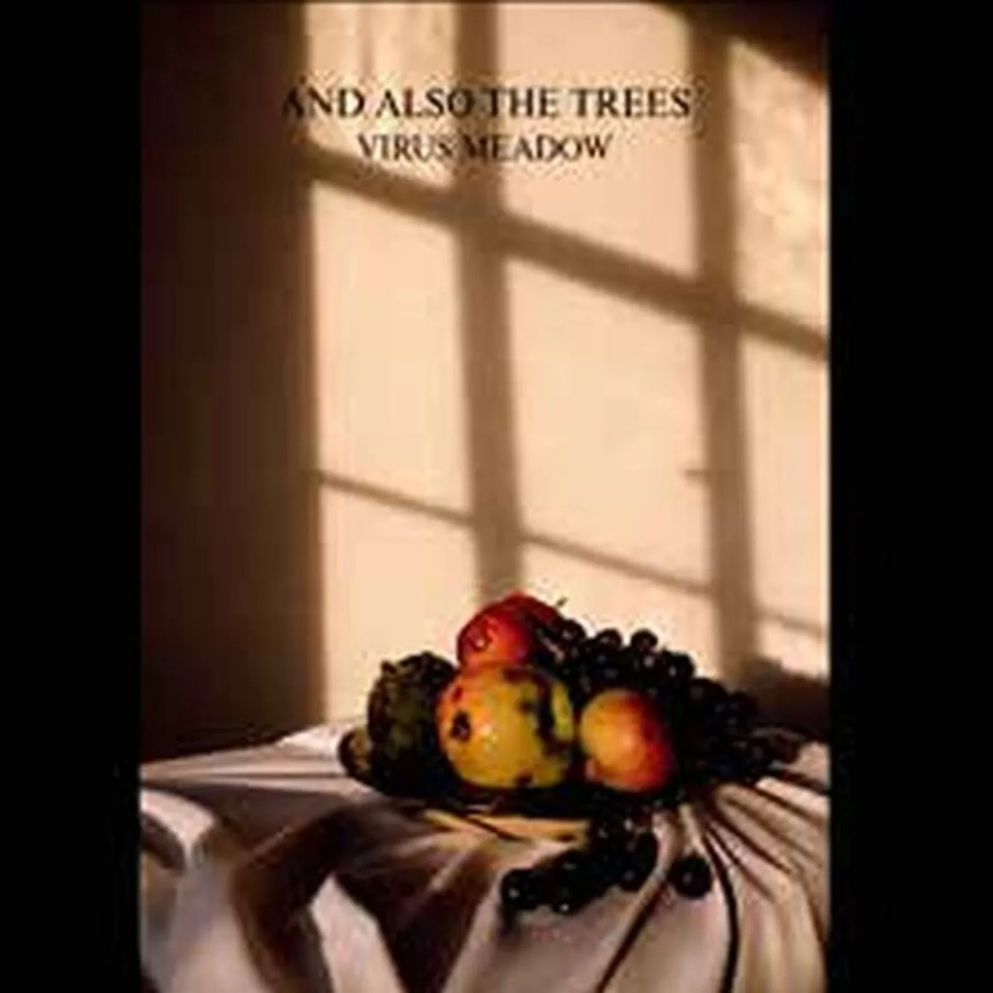 And Also The Trees VIRUS MEADOW CD