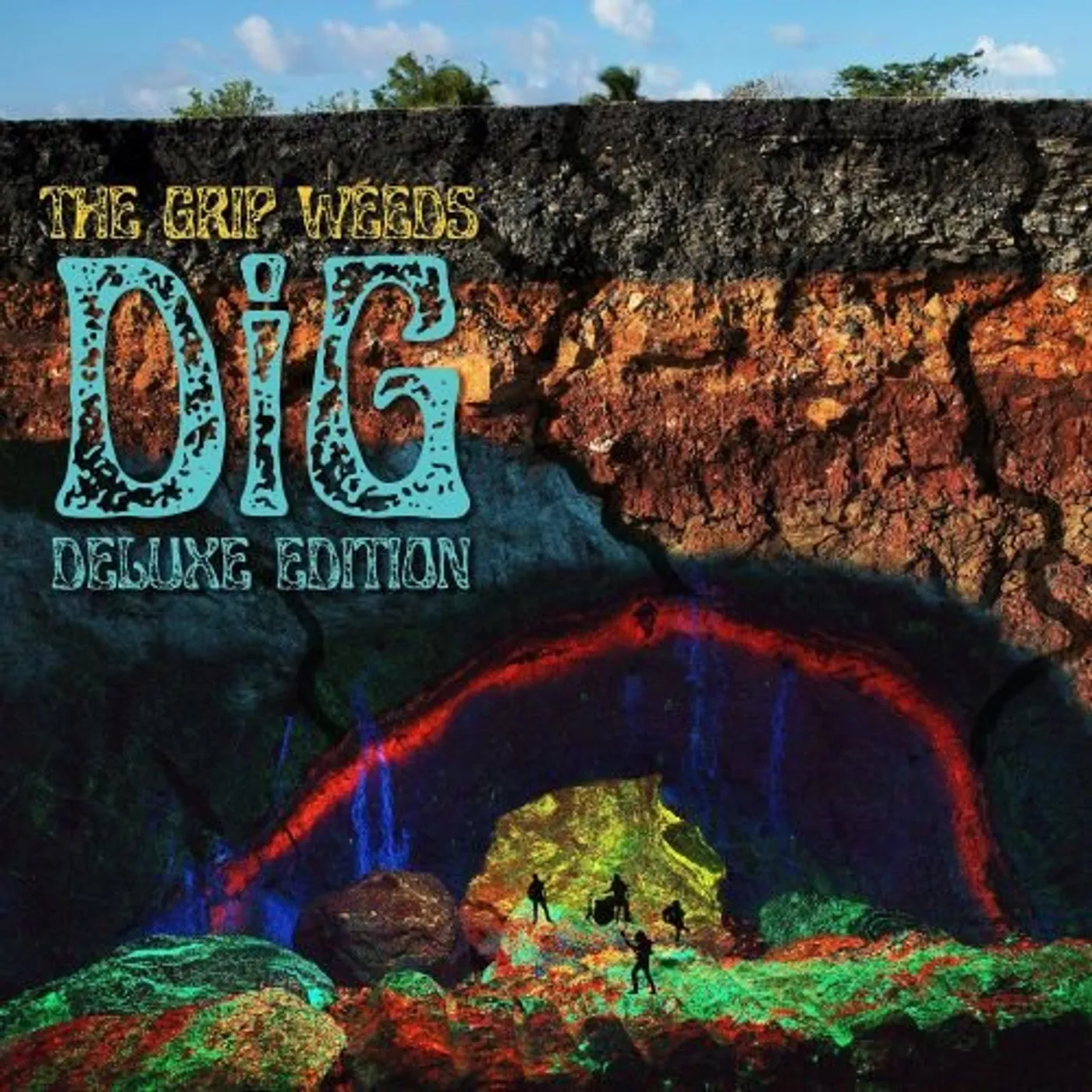 The Grip Weeds DiG Vinyl Record