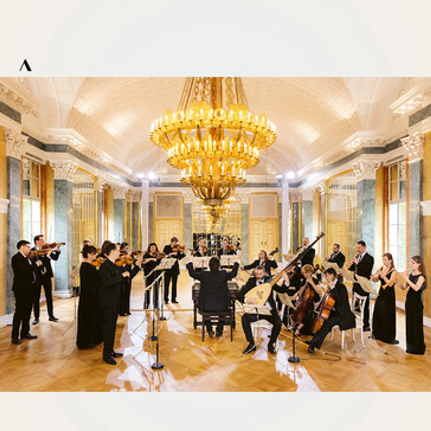 J.S. Bach BRANDENBURG CONCERTOS DVD