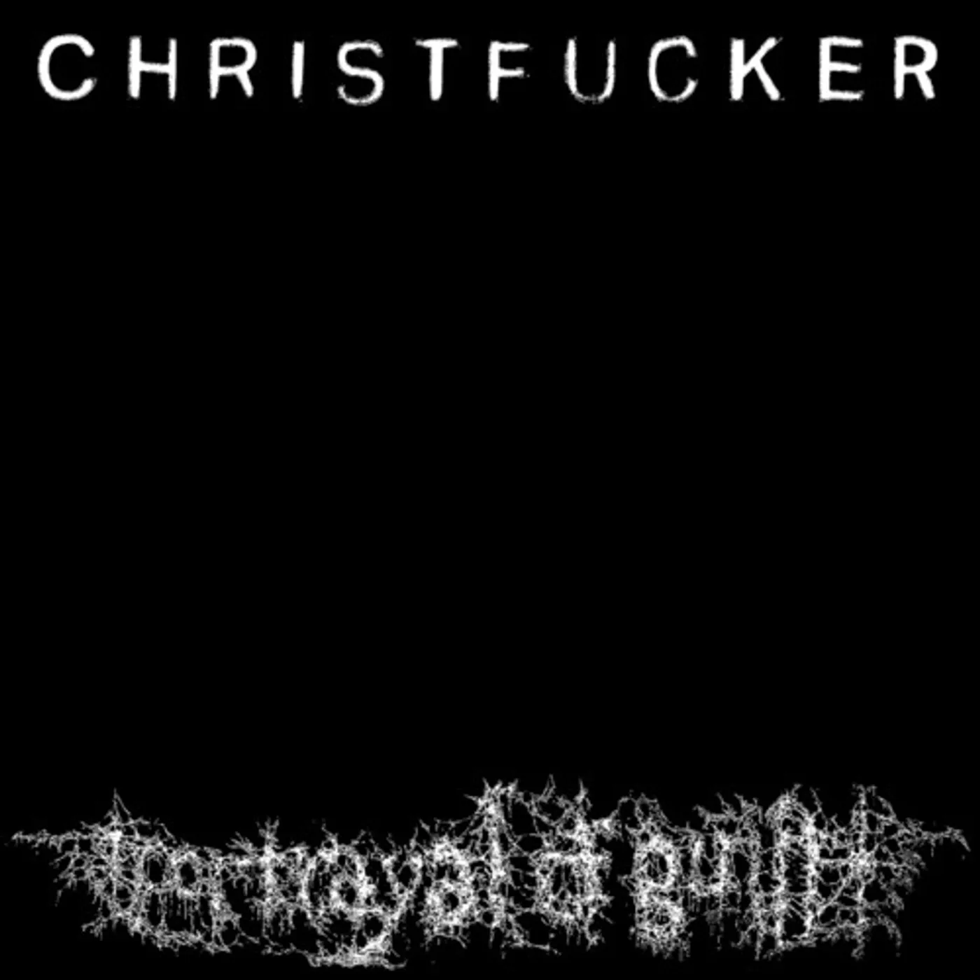 Portrayal of Guilt CHRISTFUCKER (X) CD